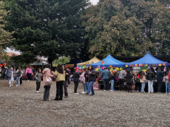 {{brizy_dc_image_alt entityId=